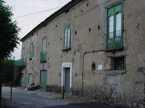 dsc00505.jpg