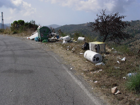 dsc00929.jpg