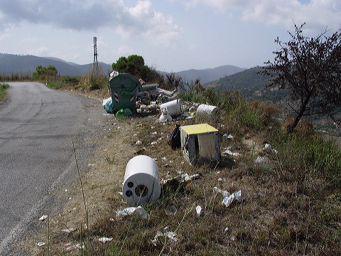 dsc00931.jpg