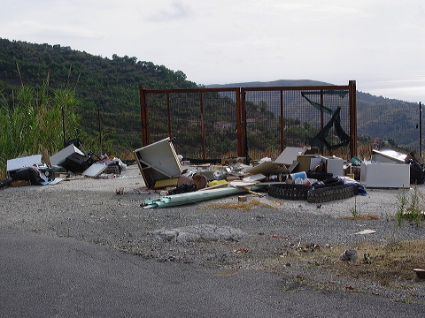 dsc00986.jpg