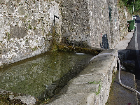 dsc00308.jpg
