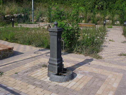 dsc00324.jpg
