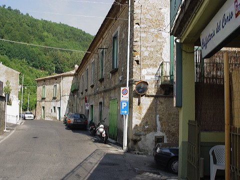 dsc00356.jpg