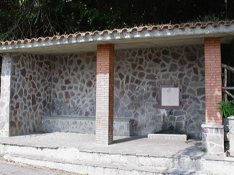 dsc00379.jpg