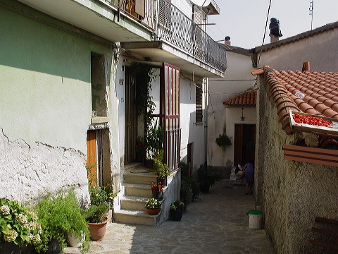 dsc00391.jpg