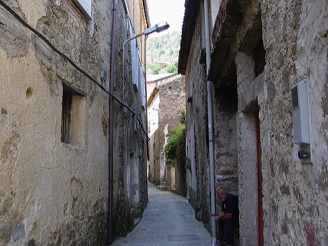 dsc00398.jpg