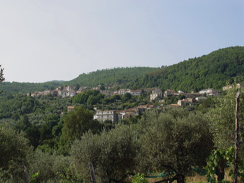 dsc00429.jpg