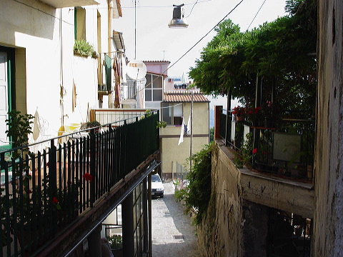 dsc00333.jpg